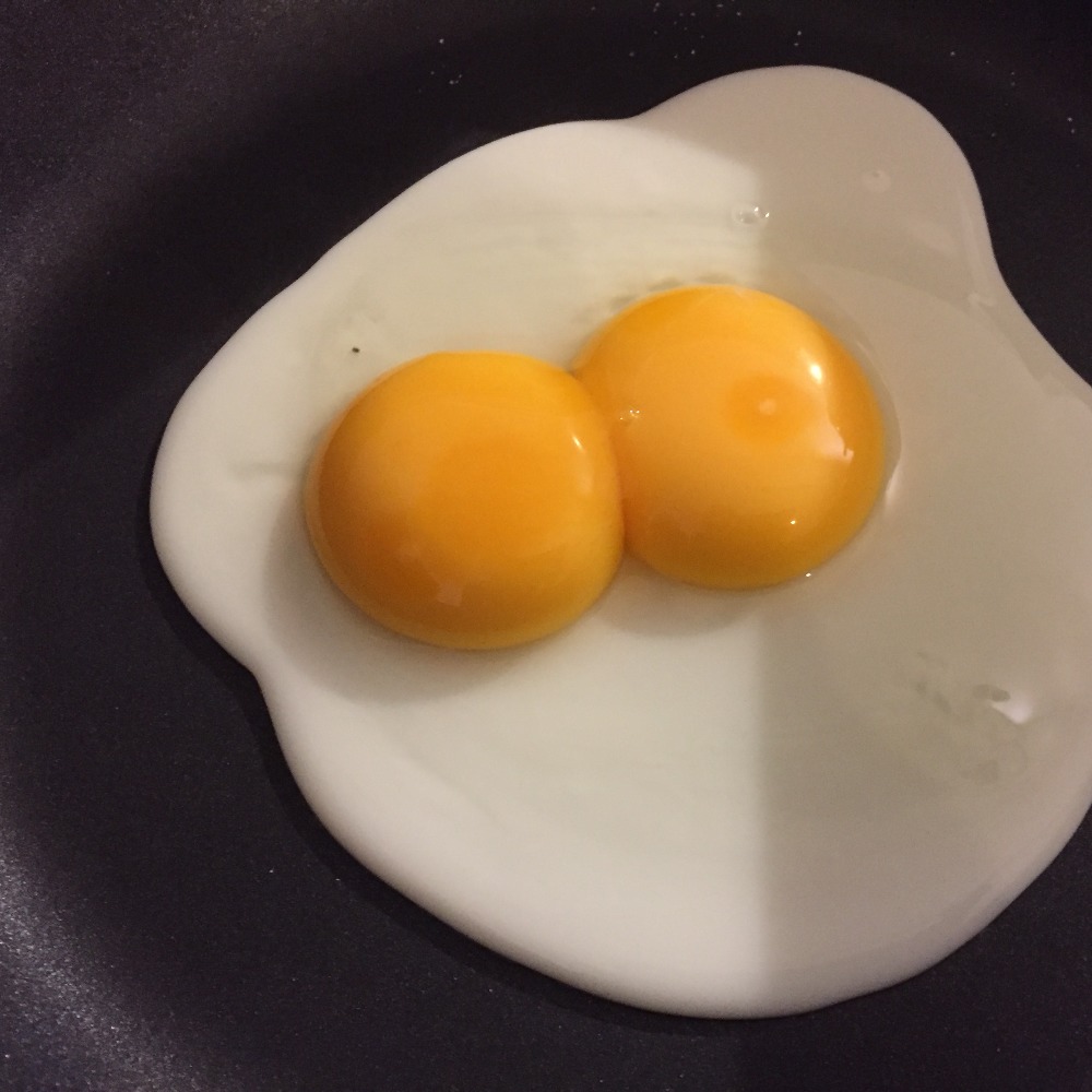 Meet your Posher, Lynne